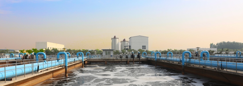 Reducing disposal costs for sewage sludge